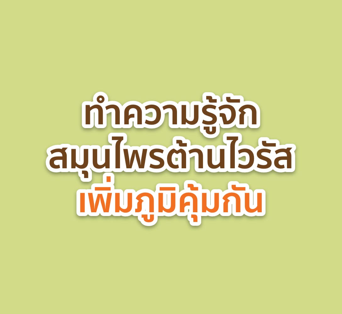 ทำตวามรู้จักสมุนไพรต้านไวรัสเพิ่มภูมิคุ้มกัน