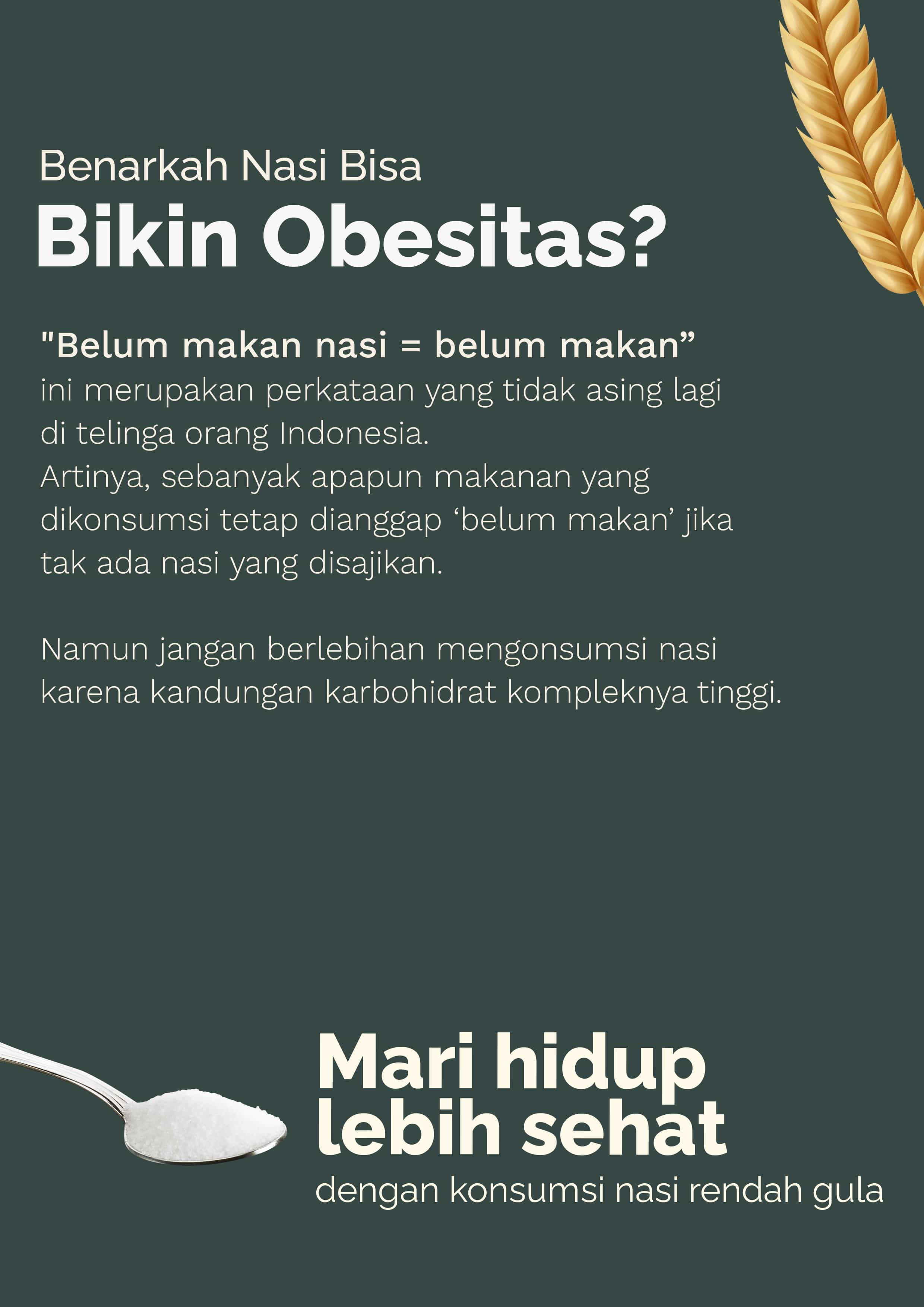 noxxa bukan hanya alat masak, tapi juga mendukung gaya hidup sehat dengan  memberikan pilihan makanan rendah gula