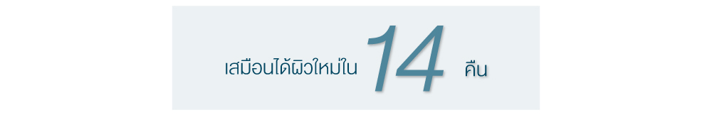 Artistry-14-Nights-Reset-Program